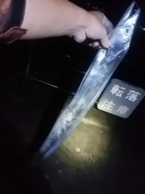 とったど~