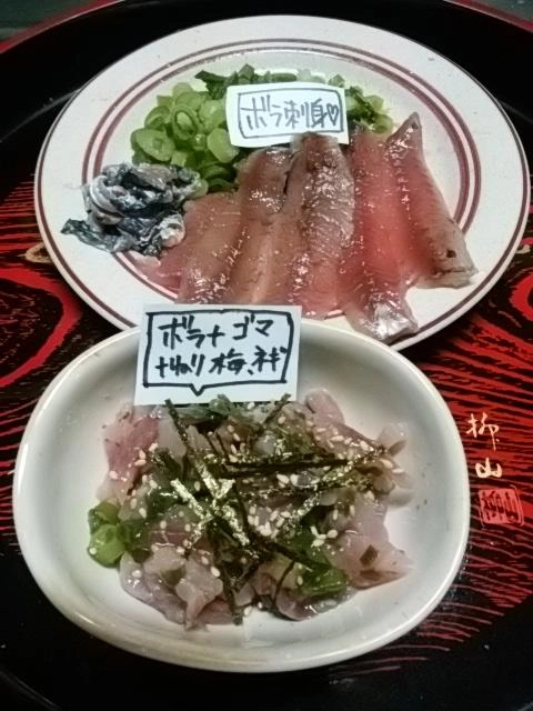 寒ボラ