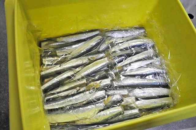最初の漬け込みはお酢のみで。１日冷蔵庫で寝かせます。ラップで魚が浮かないように落とし蓋をすると良いです。