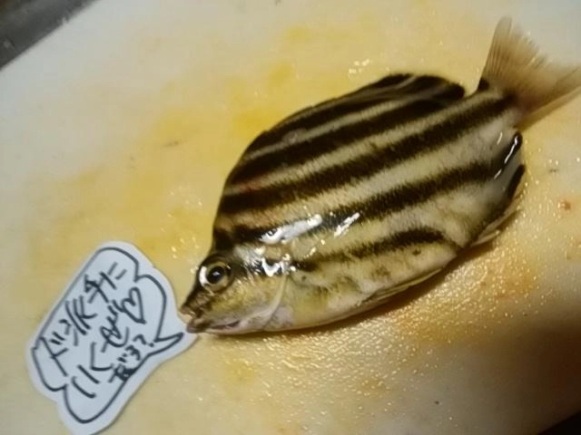 派手
