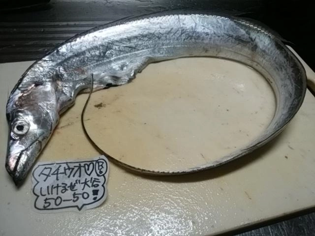 タチウオ