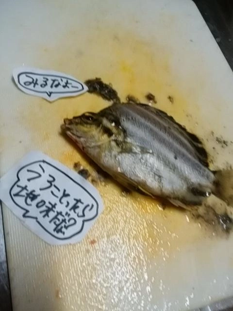 地味