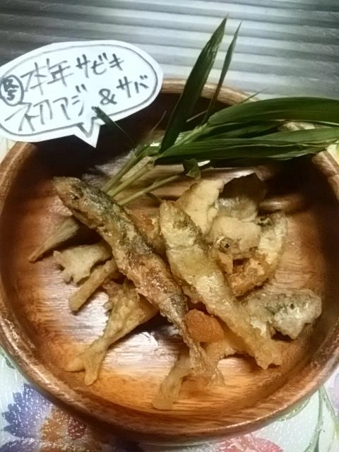 初物アジ