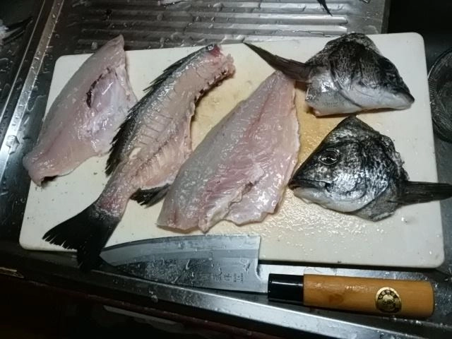 骨太ですぞ。