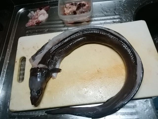 背中開く