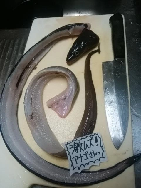 激ムズ