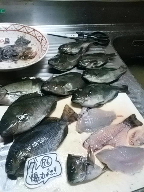 感謝
