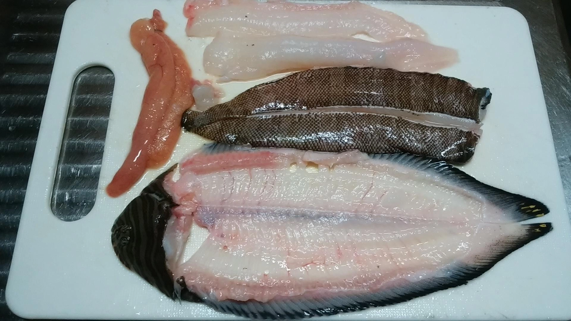 ヒラメゲット!5枚おろしです!
