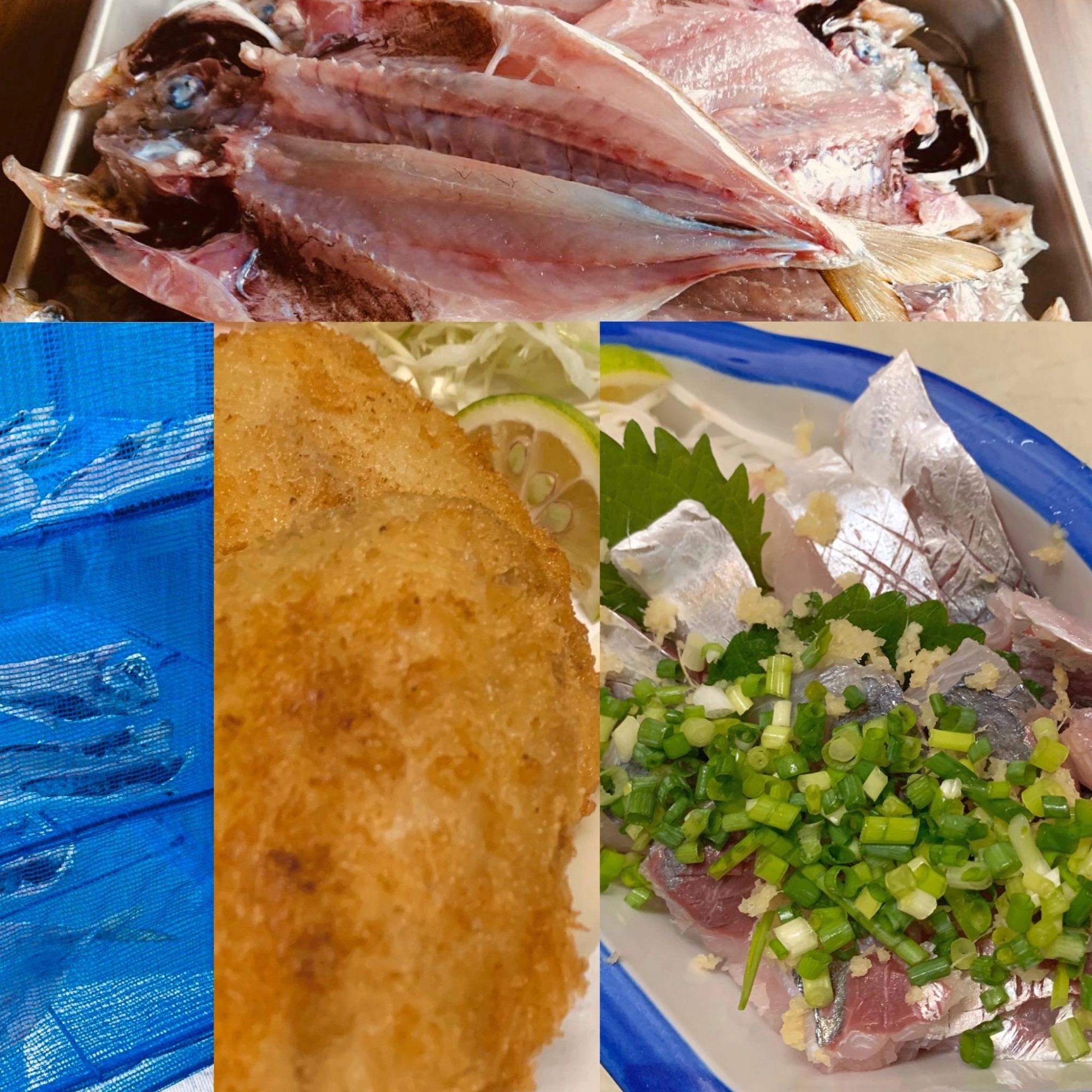 中型真鯵
刺身　フライ　干物