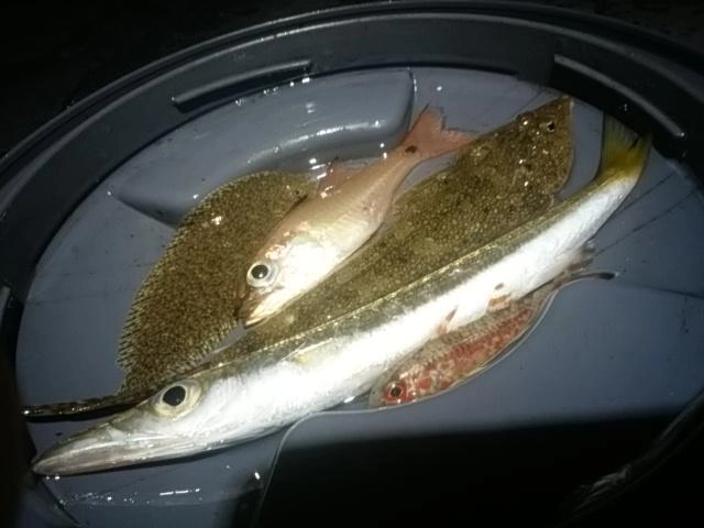 初物