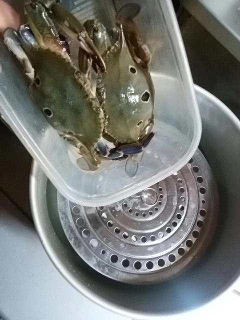 殻洗う
