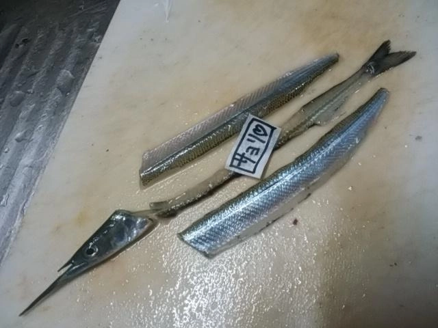 サヨリ