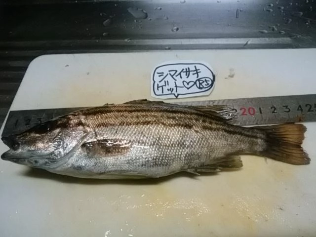 自己新