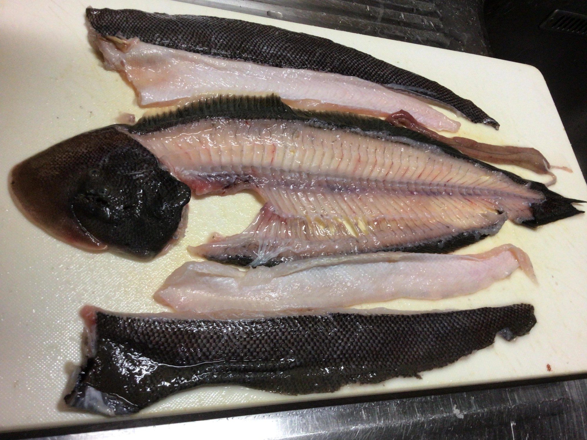最近ヒラメさばくの慣れてきたカモ❓五枚おろしが基本デス❗️