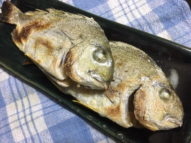 沖でのフグ釣りで外道として釣れたヘダイを塩焼きで頂きました。
