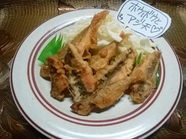 ホウボウ天