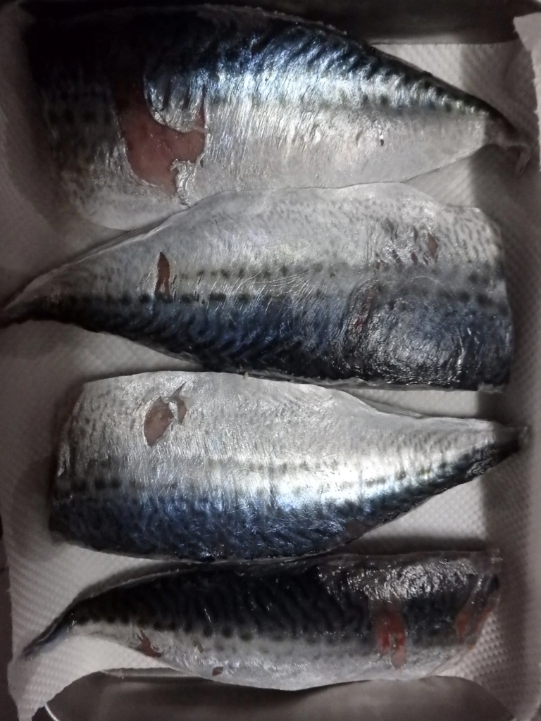 f:id:ishiguroito:20151008165558j:plain