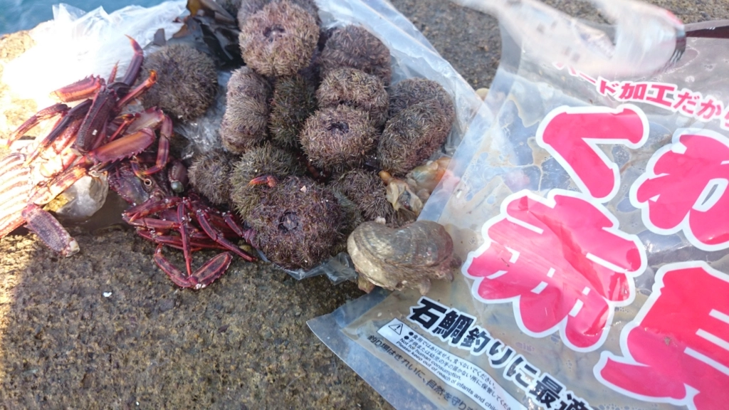 f:id:ishiguroito:20151103150441j:plain