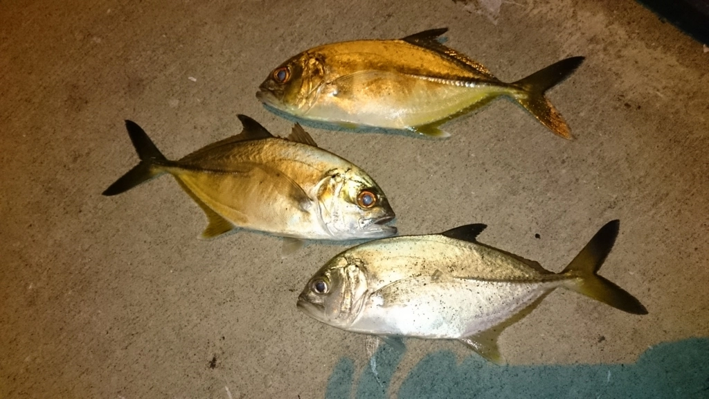 f:id:ishiguroito:20151207165057j:plain