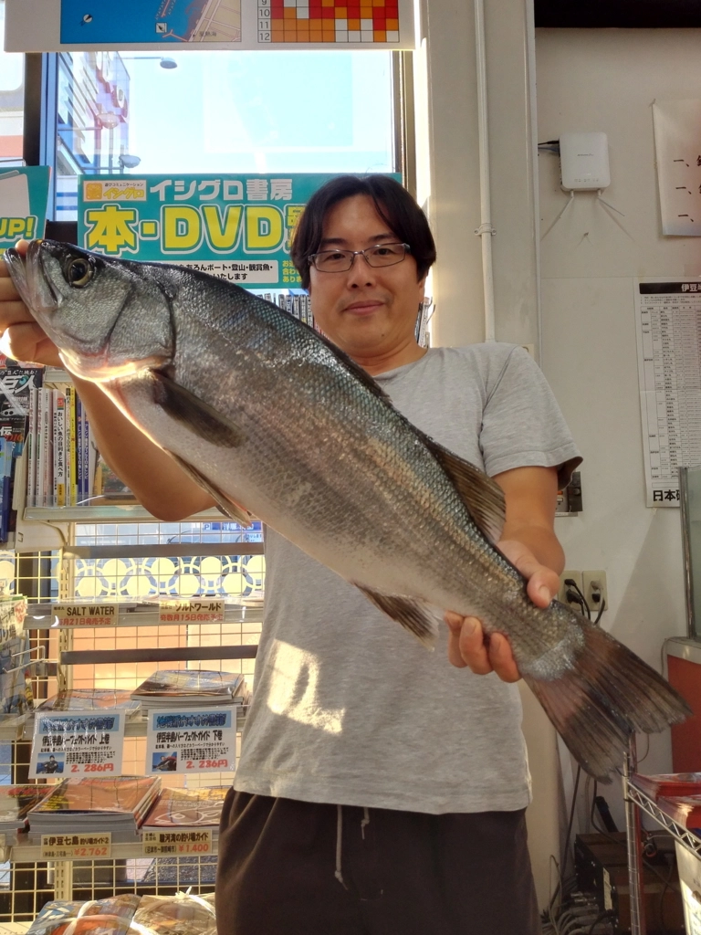 f:id:ishiguroito:20160825215402j:plain