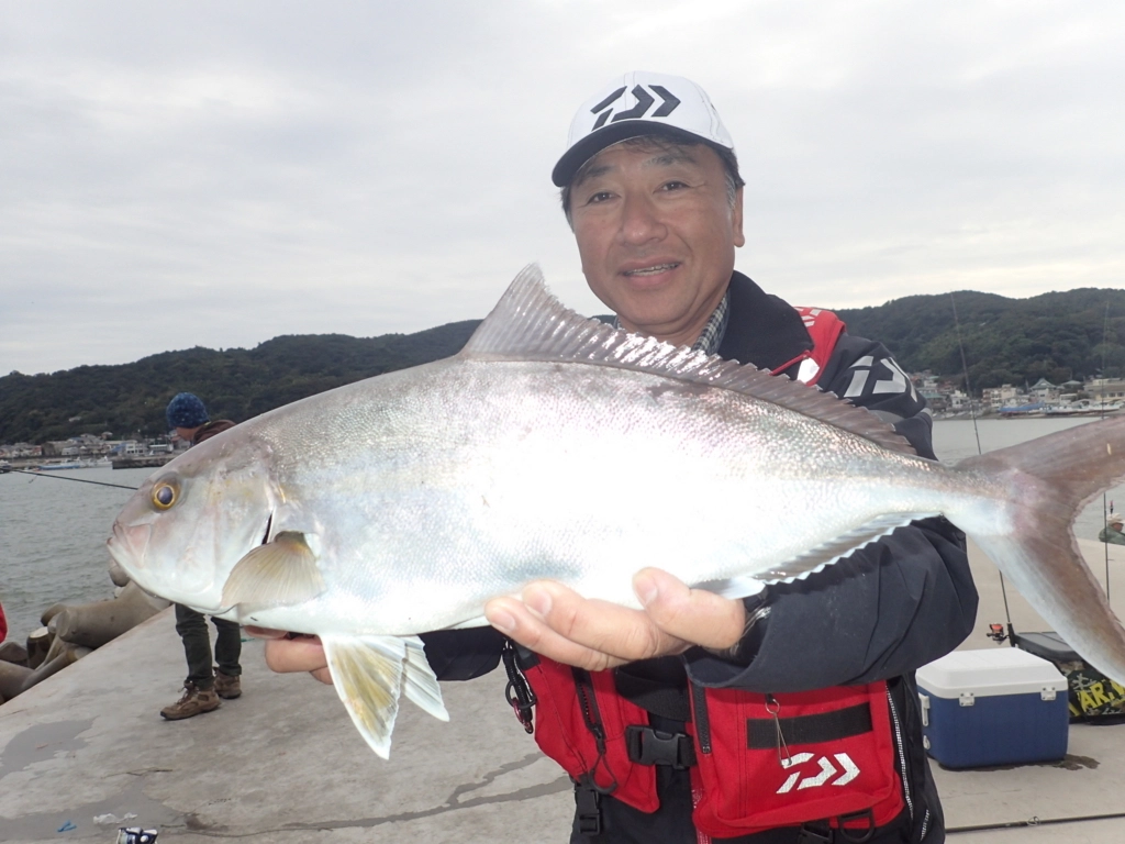 f:id:ishiguroito:20171027095056j:plain