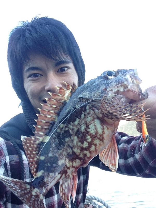 f:id:ishiguronumazu:20141224121438j:plain
