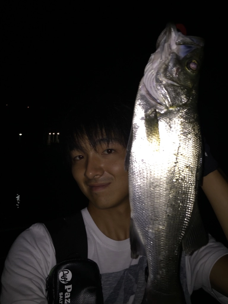 f:id:ishiguronumazu:20160916143837j:plain