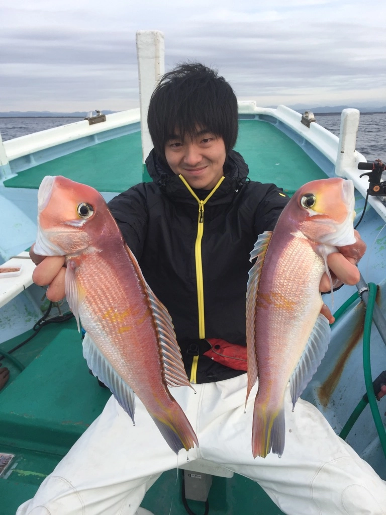f:id:ishiguronumazu:20170107184111j:plain