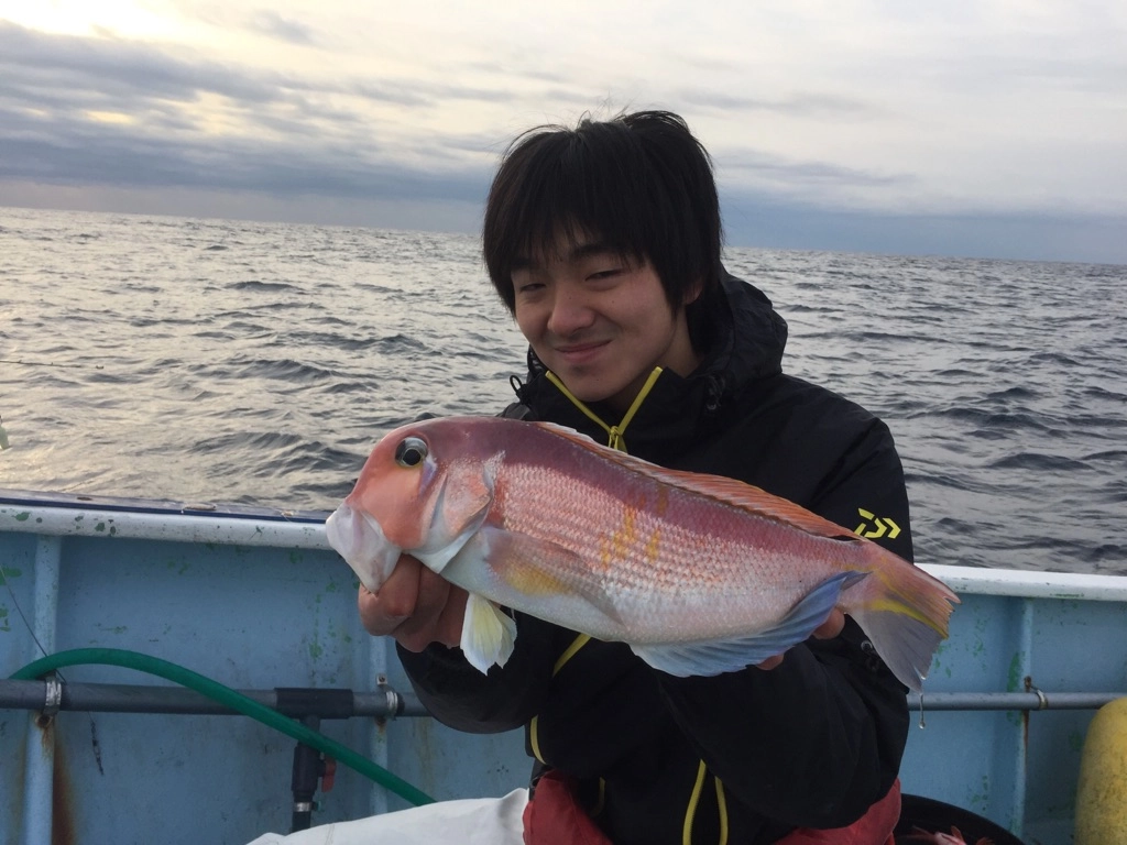 f:id:ishiguronumazu:20170107184144j:plain