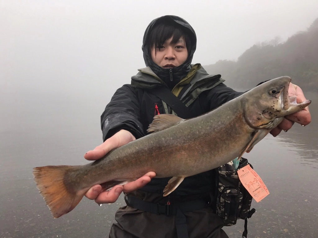 f:id:ishiguronumazu:20170305134200j:plain