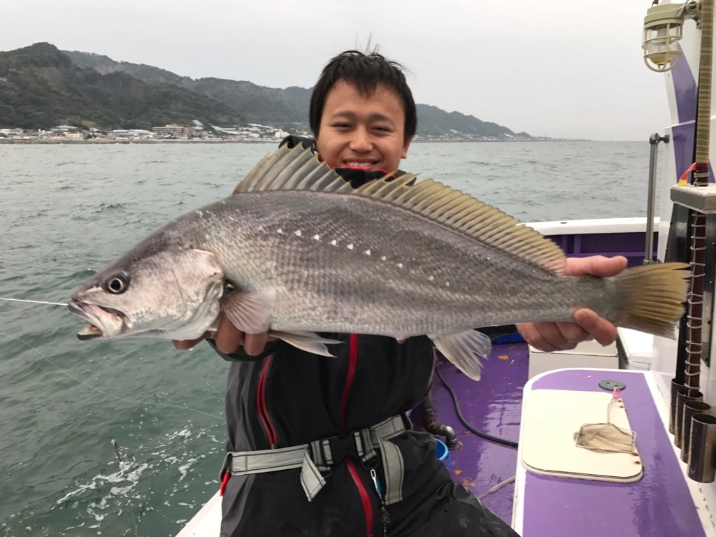 f:id:ishiguronumazu:20171109162311j:plain