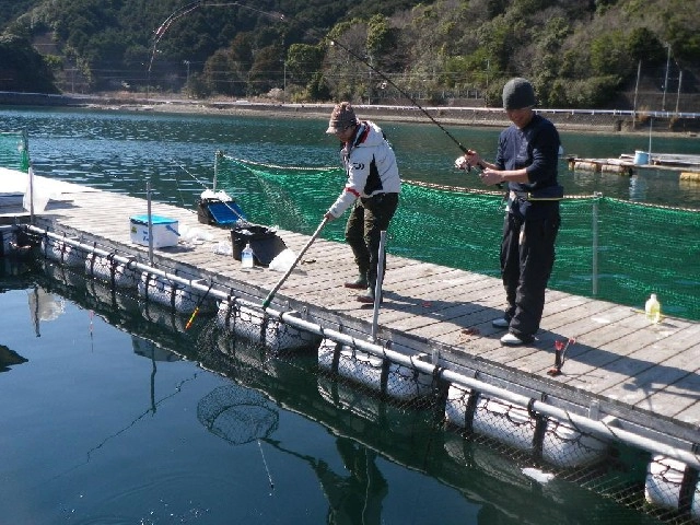 海上釣り堀　貞丸 【三重県・紀北町引本浦】