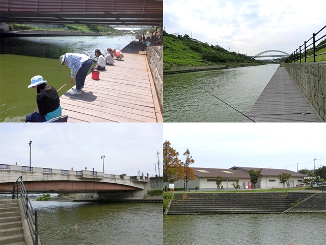 佐鳴湖　新川放水路 【静岡県・浜松市】