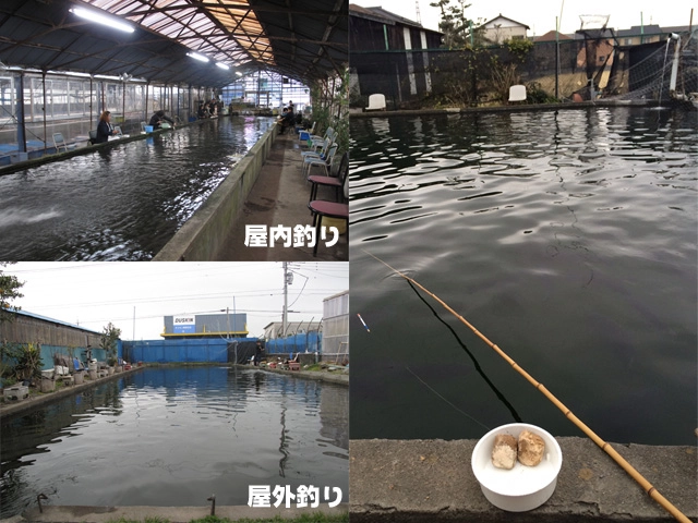 富士フィッシュセンター蓼原釣り掘 【静岡県・富士市】