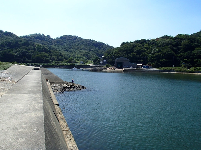 西浦クジ漁港 【愛知県・蒲郡市】