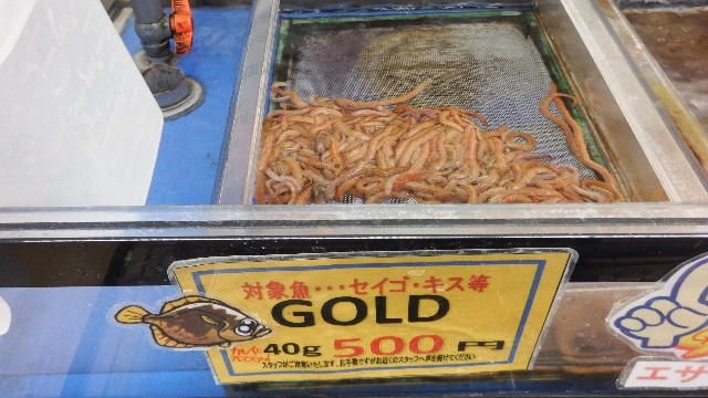 エサ釣りでは冷凍などの生きていないエサや淡水エサは禁止なので青イソメやＧＯＬDなどがオススメです。