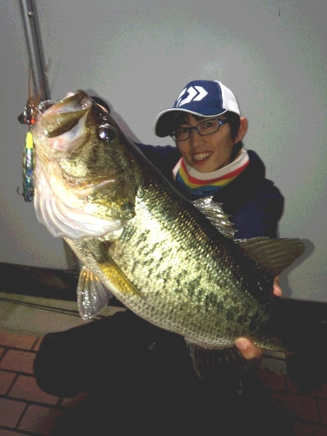 琵琶湖の春バス♪カッコいいです。