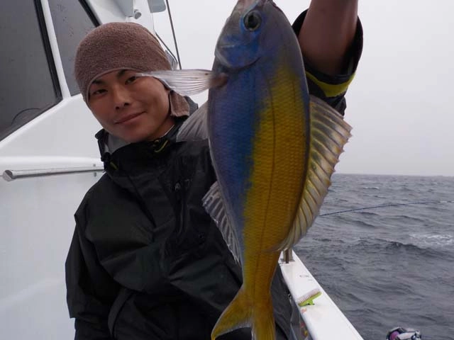 ウメイロ