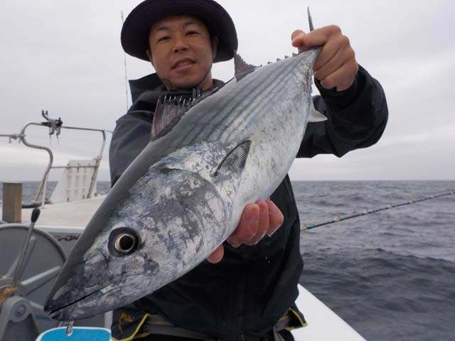 ハガツオ