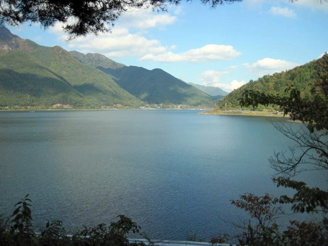 西湖 【山梨県・富士河口湖町】