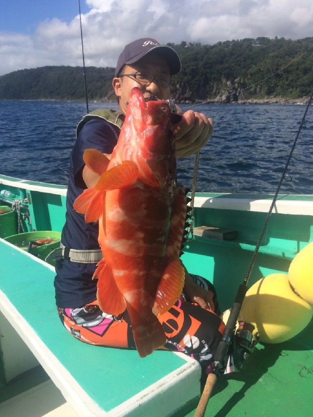 アカハタ、カサゴはたくさん釣れます！