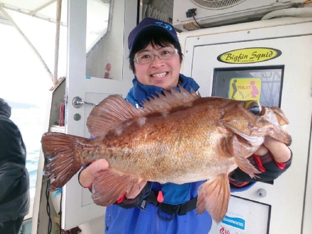 ダイワ戸出様尺超えメバル！