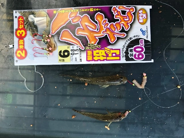 ハゼだぜでダブルでＧＥＴ！