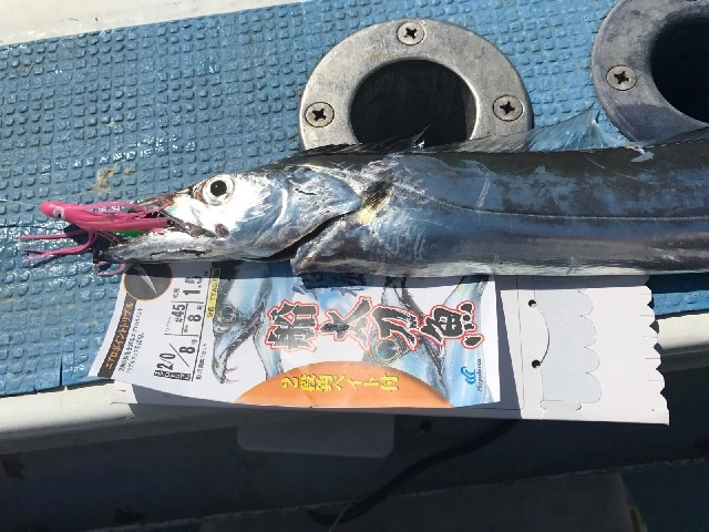 船太刀魚２段針ベイト付で指４本ＧＥＴ！
