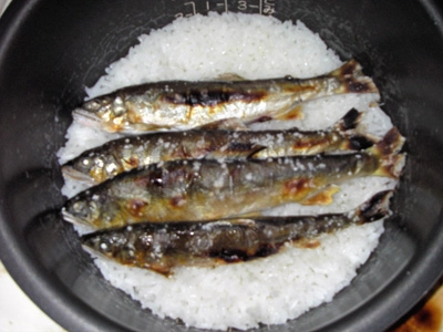 鮎めし