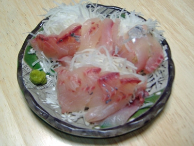 カイワリのお刺身