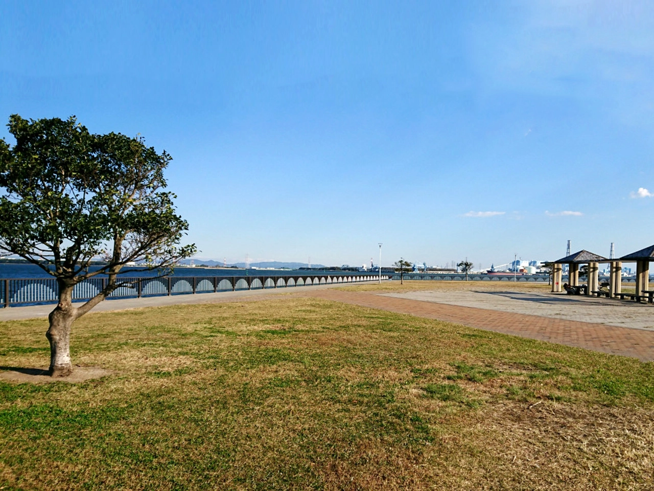 武豊緑地（ファイザー前） 【愛知県・知多半島・武豊町】
