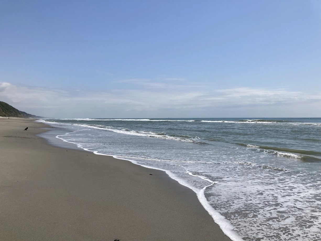 ほうべ（方辺）海岸（田原サーフ）【愛知県・田原市】