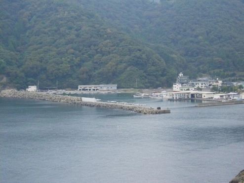世久見漁港（せくみ） 【福井県・若狭町】