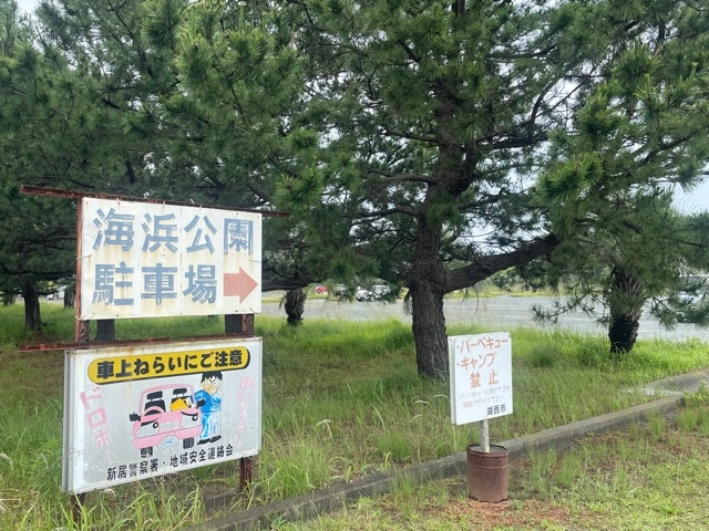 海浜公園駐車場をご利用下さい。
